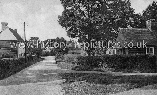 Chimney Lane Corner, Corner, Cock Clarks, Essex. c.1920's